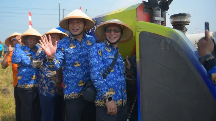 Rangkaian Hari Jadi 179 Boyolali, Pemkab Panen Raya Padi 250 Hektar