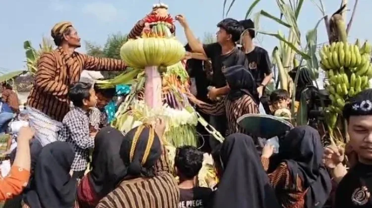 Meriahnya Warga Prawatan Klaten Berebut Gunungan Merti Desa Bumi Sangkara