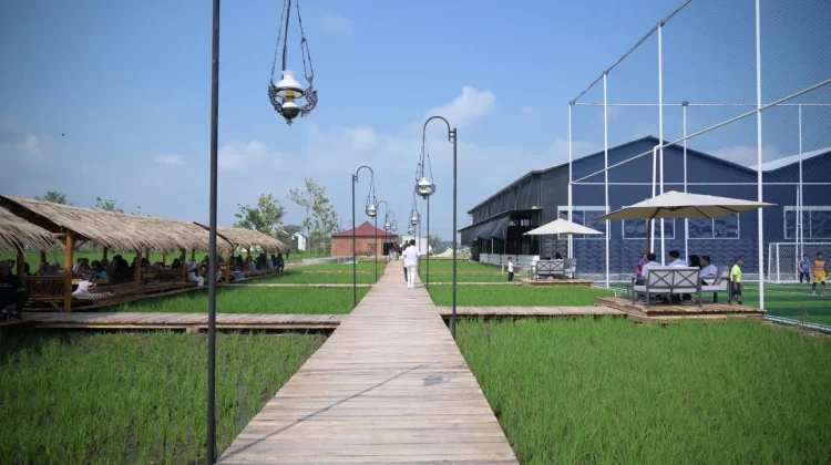 Dorong Pariwisata, Investor Putra Daerah Bangun Padi Padel Karanganyar