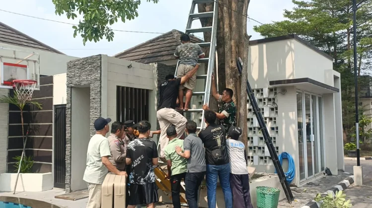Pekerja Tersengat Listrik Kesigapan Polisi dan Relawan Cegah Korban Fatal