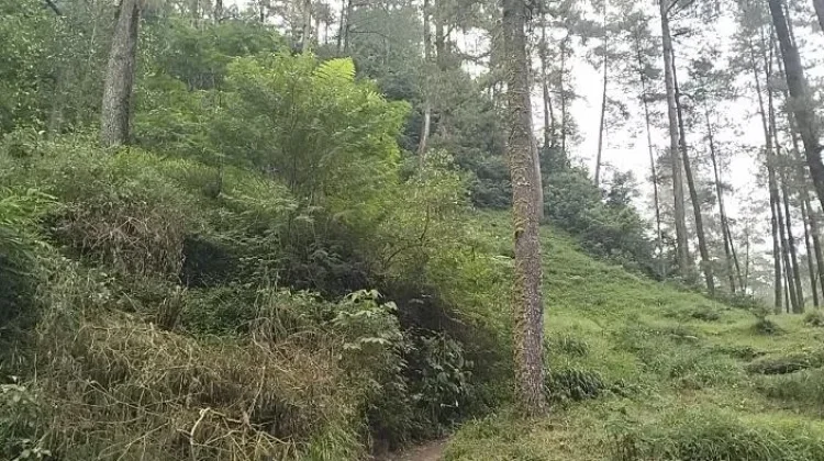Kampung Siluman Kemalang Klaten Pesona Alam Lereng Merapi