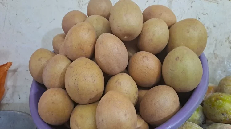 Mengenal Kandungan Vitamin Buah Sawo dan Manfaat Kesehatannya