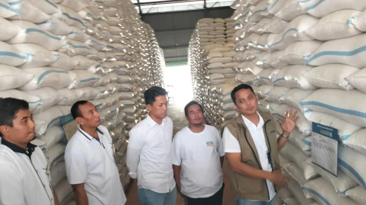 Bulog Gencar Serap Gabah Petani, Klaten Tembus 10.600 Ton Lebih