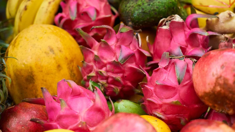 Kalender Musim Buah Juli - September, saat Tepat Menikmati Buah Lokal yang Segar