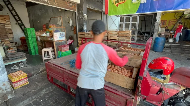 Harga Telur Ayam di Solo anjlok di harga Rp19.000 perkilogram