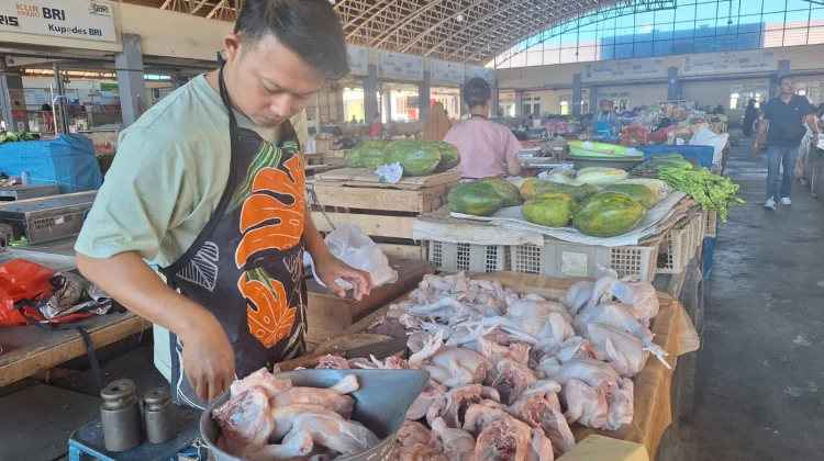 Dapur SPPG di Kota Solo Libur, Harga DagingAayam Ras Turun Drastis