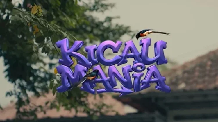 Lirik dan Kunci Gitar Kicau Mania, Ndarboy Genk feat Banditoz Yaow 86