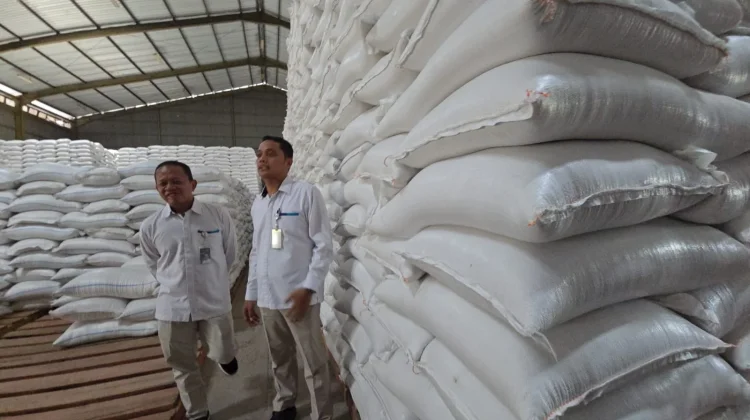 Serapan Gabah Tertinggi di Solo Raya Tembus 111%, Sragen Sebagai Lumbung Pangan