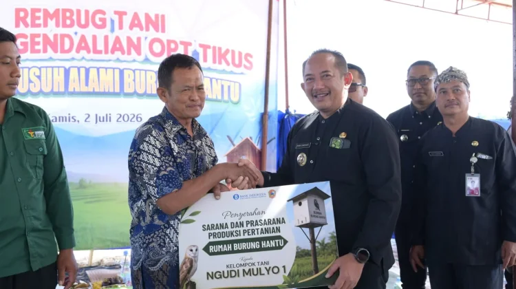 Tekan Hama Tikus, Pemkab Karanganyar Salurkan Bantuan 100 Rumah Burung Hantu