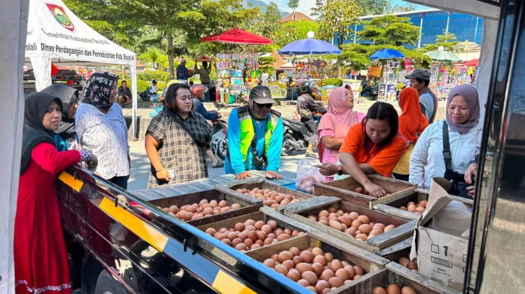 PINSAR Boyolali Berharap Pemerintah Bantu Stabilisasi Harga Telur dan Ayam