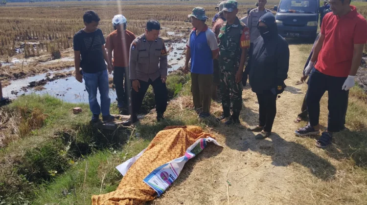Pria 48 Tahun Ditemukan Meninggal di Pematang Sawah, Gegerkan Warga Guworejo
