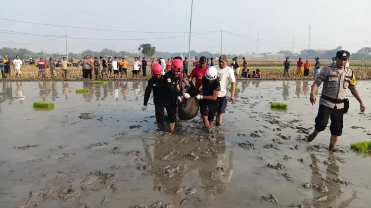 Seorang Petani di Sidoharjo Sragen Ditemukan Tewas di Sawah, Ditemukan Luka Lebam