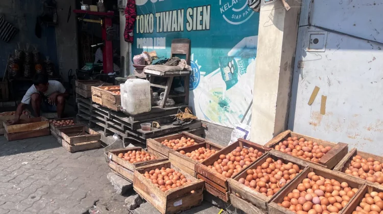 Harga Telur Ayam di Kota Solo Mulai Merangkak Naik