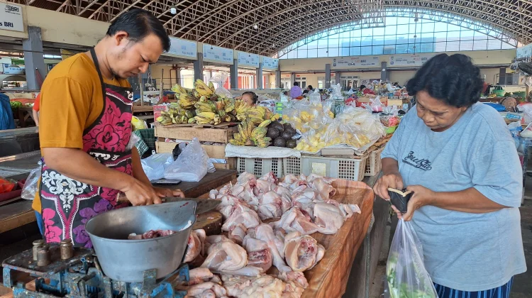 Dapur SPPG di Kota Solo Libur, Harga Daging Ayam Ras Turun Drastis