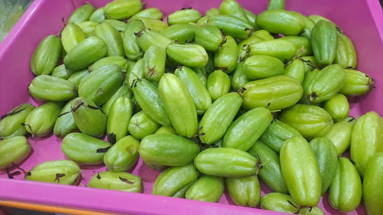 Belimbing Wuluh Asam Menyimpan Manfaat Alami Bagi Kesehatan