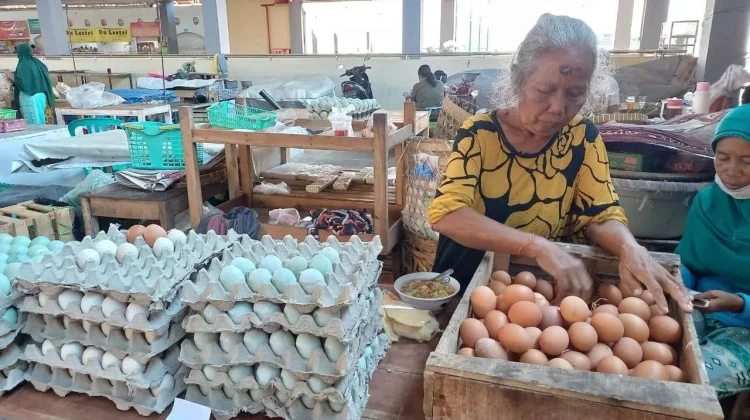 TPID Solo Pantau Fluktuasi Harga Telur dan Daging Ayam