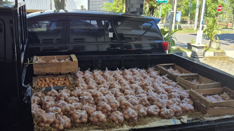 Bantu Serapan Peternak, ASN Pemkab Boyolali Borong 15 Ton Telur