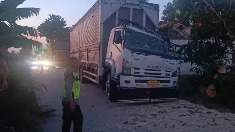 Pohon Tumbang Timpa Truk di Tanon Sragen, Arus Lalu Lintas Sempat Terhambat