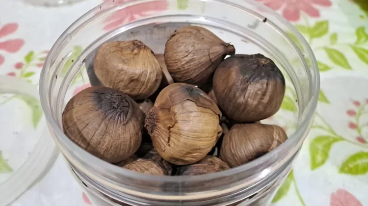 Mengenal Khasiat Black Garlic bagi Kesehatan Tubuh Secara Alami