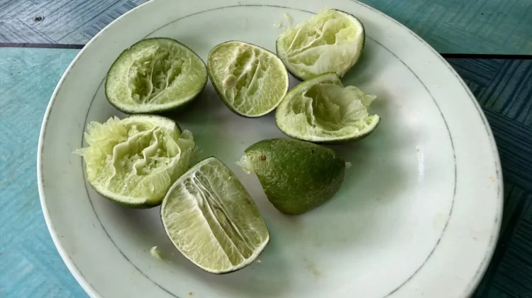 Rahasia Cita Rasa Soto pada Satu Irisan Jeruk