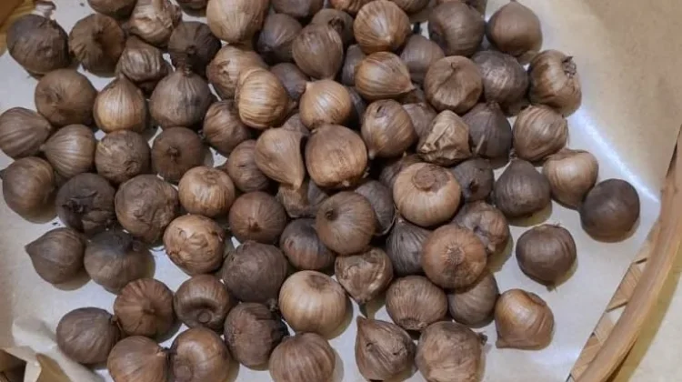 Rahasia Bawang Garlic yang Menyehatkan