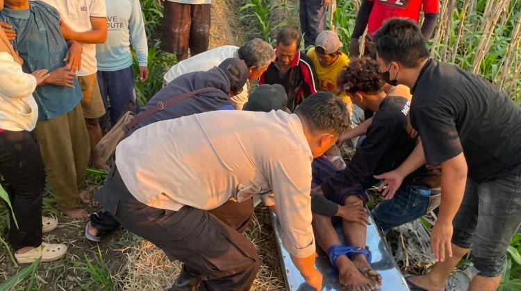 Lagi-Lagi Terjadi di Sragen, Seorang Petani Ditemukan Tewas di Lahan Pertanian