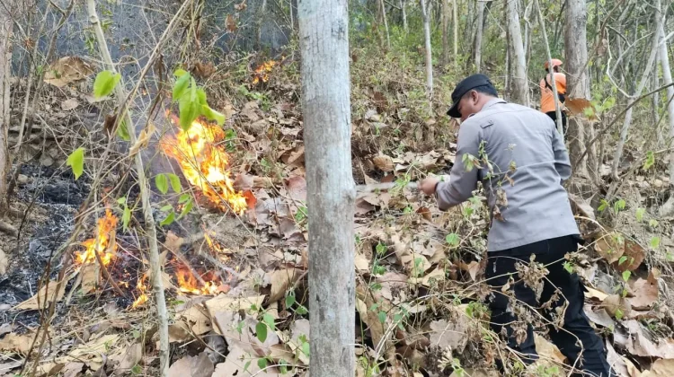 Respons Cepat Tim Gabungan Cegah Kebakaran Hutan Meluas di Wonogiri