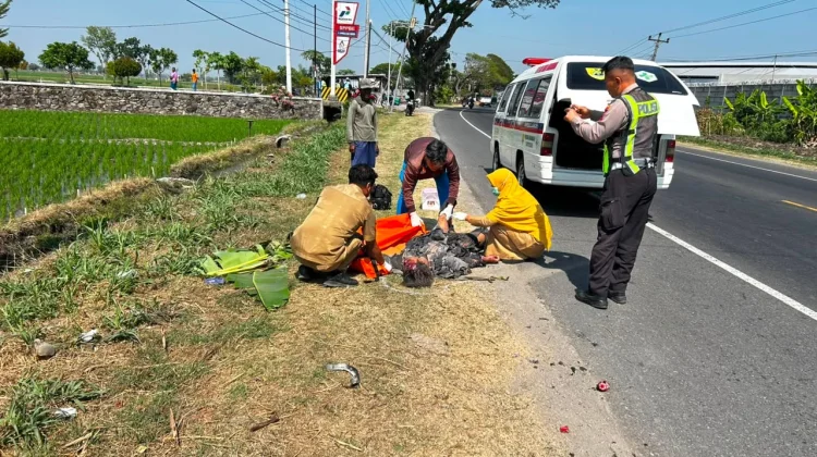 Hilang Kendali usai Rem Mendadak, Pemuda Jaten MD Tabrakan di Jalan Sragen-Ngawi