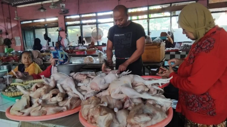 Daya Beli Turun Buat Telur Anjlok, Harga Daging Ayam Justru Naik di Karanganyar