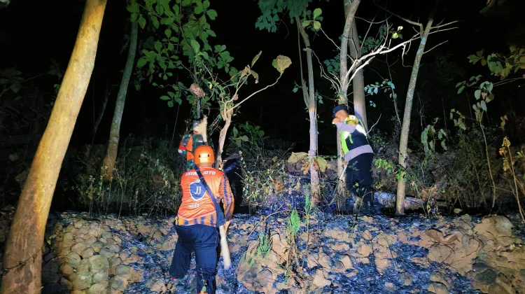 Sinergi Cepat Padamkan Kebakaran Lahan Perbukitan Sidoharjo Wonogiri