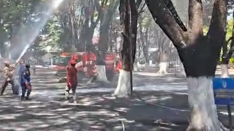 Damkar Bersihkan Sarang Tawon Vespa Demi Revitalisasi Aman Karaton Surakarta