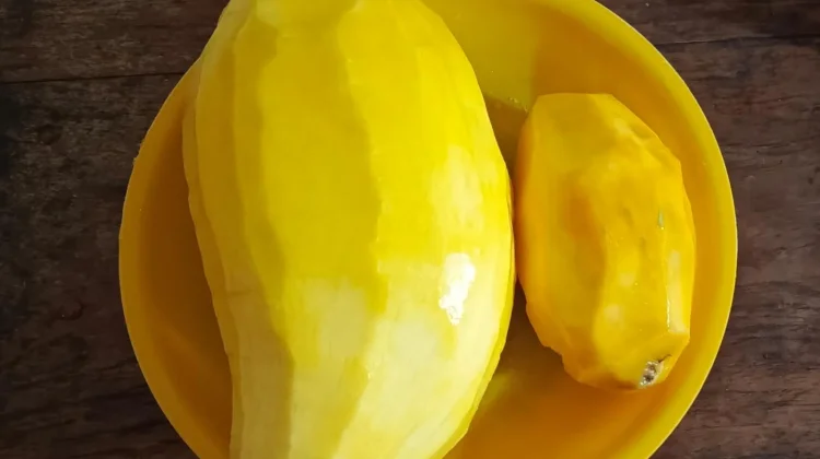 Manisnya Buah Mangga: Kelezatan Tropis yang Kaya Manfaat