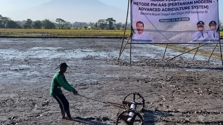 Kementan Luncurkan Sistem Pertanian Modern di Sragen, Target Produktivitas Naik