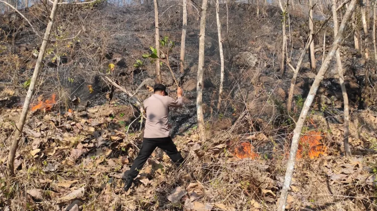 Respons Cepat Pastikan Hutan Gemawang Aman Dari Kebakaran