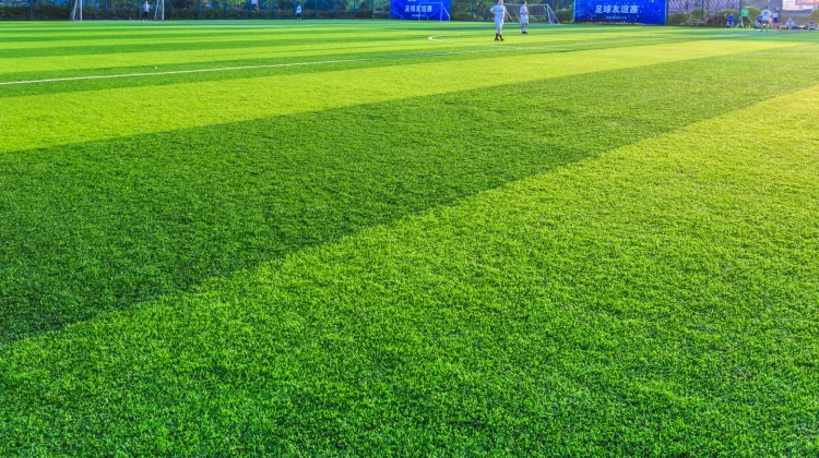 Cek Aturan Rumput Lapangan Sepak Bola, Ini Ketentuannya