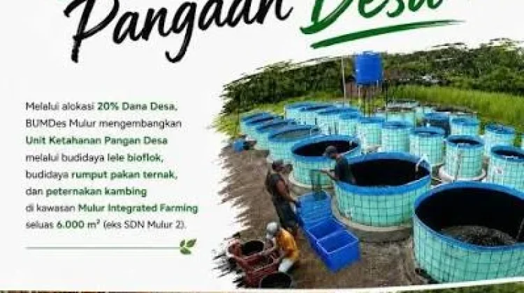 BSI BUMDes Mulur Perkuat Ketahanan Pangan Melalui Ekonomi Sirkular