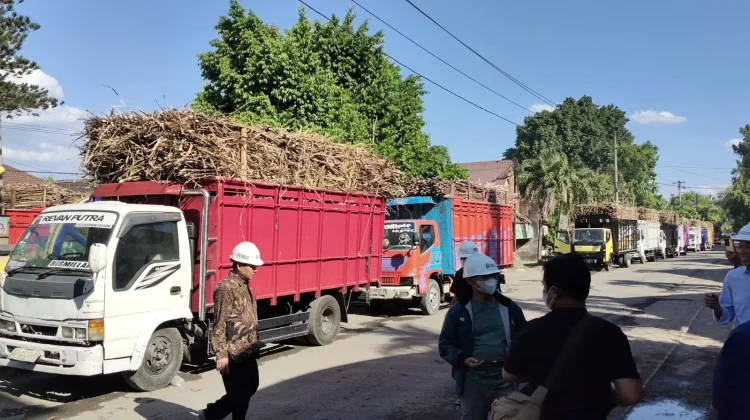 Produksi Turun Petani Tebu Sragen Merugi, Dihantui Pengurangan Kapasitas Giling