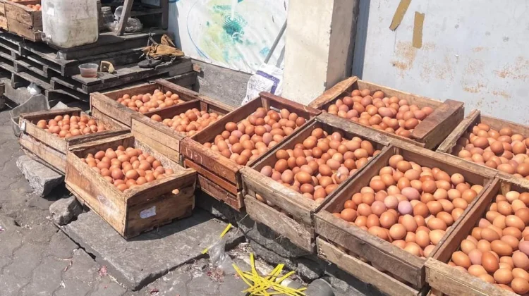 MBG Kembali Berjalan, Harga Telur Ayam Peternak Lokal di Sragen Masih Rendah