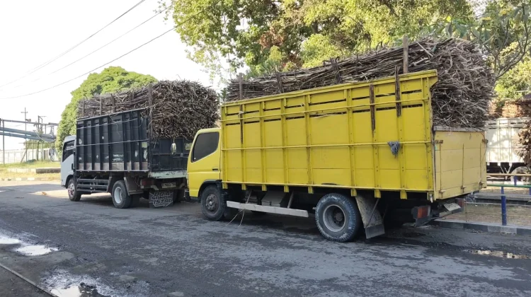 Tekan Dampak Asap, Pabrik Gula Mojo Janji Evaluasi Produksi