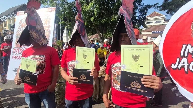Aksi di Gladag, Peternak Solo Beri Ayam “Pakan” Sertifikat Tanah