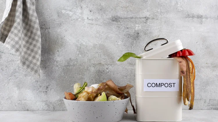 Eco Enzyme, Cara Sederhana Kelola Sampah Organik dari Rumah yang Kini Kian Relevan