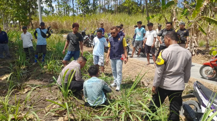 Nestapa, Demi Menghidupi Bayi Pria di Jenar Sampai Mencuri Jagung, Kasus Dimediasi
