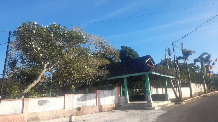 Mengapa Pohon Kamboja Banyak Ditanam di Pekuburan?