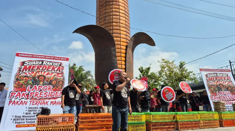 Harga Pakan Melonjak, Paguyuban Peternak Boyolali Gelar Aksi Bagi Ayam dan Telur