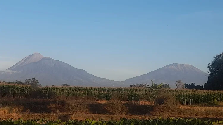 Merapi dan Merbabu Berdampingan, Harmoni Dua Gunung dalam Bingkai Keindahan Alam