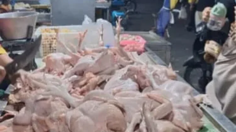 Harga Daging Ayam Naik, Permintaan Meningkat jelang Perayaan HUT Kemerdekaan