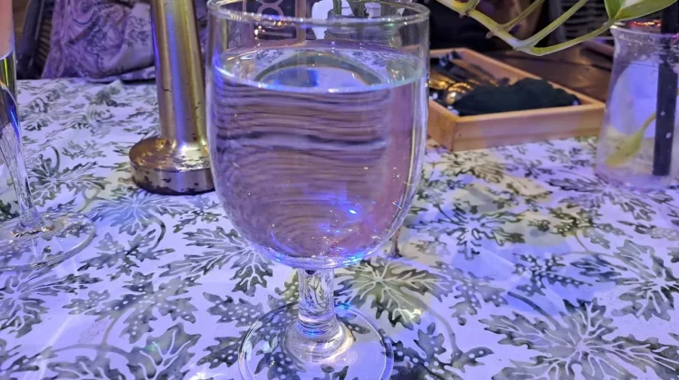 Pentingnya Minum Air Putih untuk Menjaga Kesehatan Tubuh