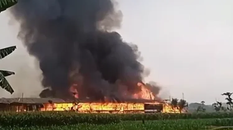 Diduga Korsleting Listrik, 15 Ribu Ayam Ludes Terbakar di Boyolali