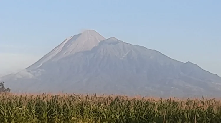 Merapi Berdiri Gagah, Menjadi Lukisan Alam di tengah Hamparan Ladang