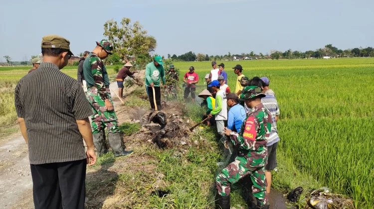 Cegah Hama Padi, Babinsa Juwiring Dampingi Warga Gropyok Tikus